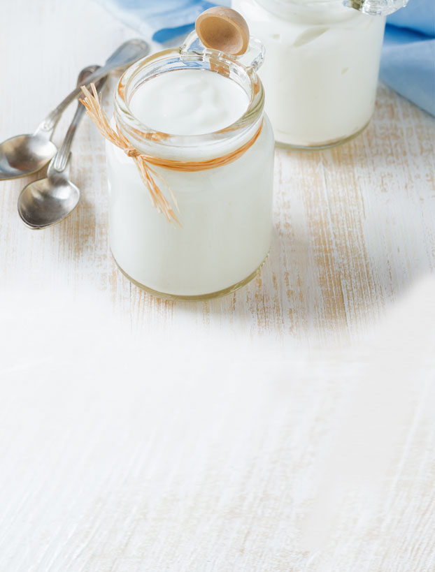 Yogurt Linea Yogurt Linea
